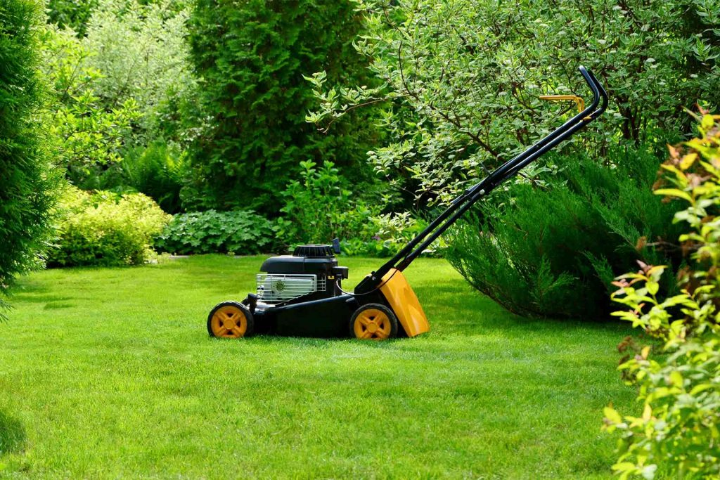Garden Maintenance Cost 1024x683
